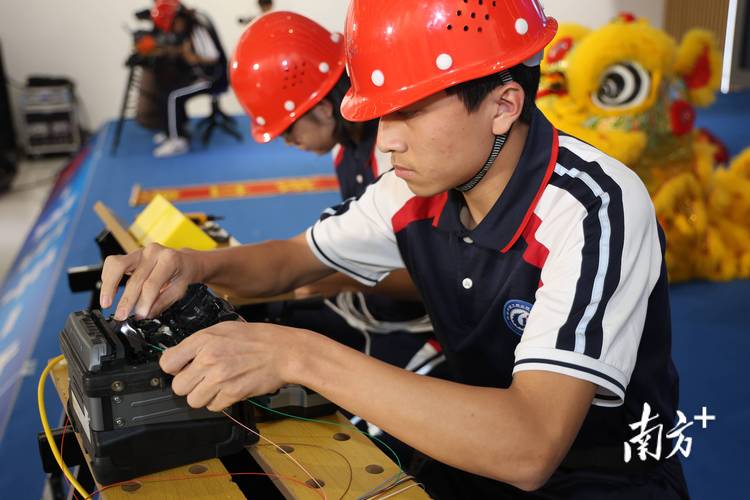 高级技工证查询入口