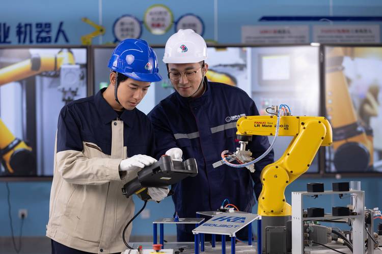 高级技工证查询入口